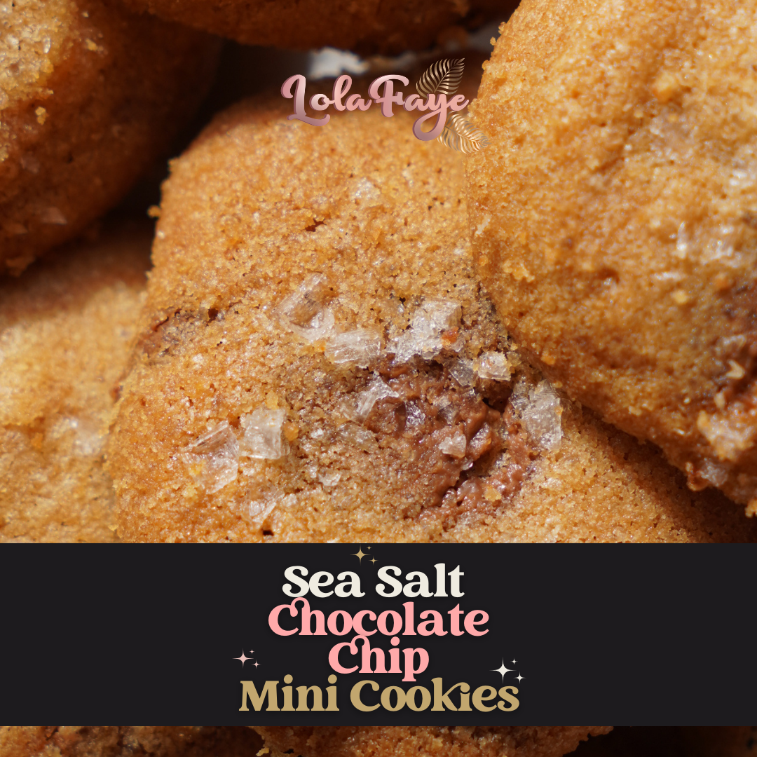 Sea Salt Chocolate Crispy Mini Cookies (250G)
