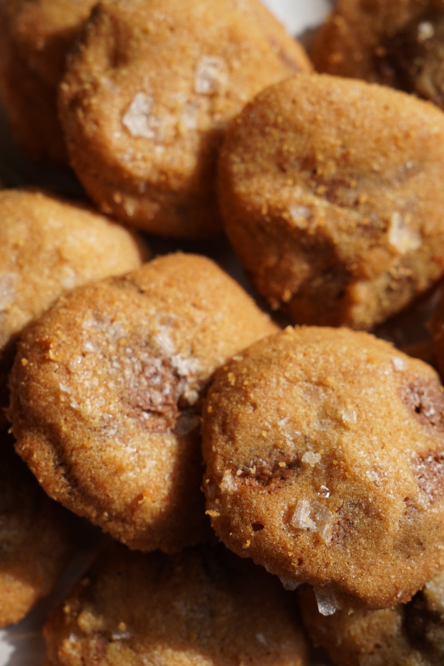 Sea Salt Chocolate Crispy Mini Cookies (250G)
